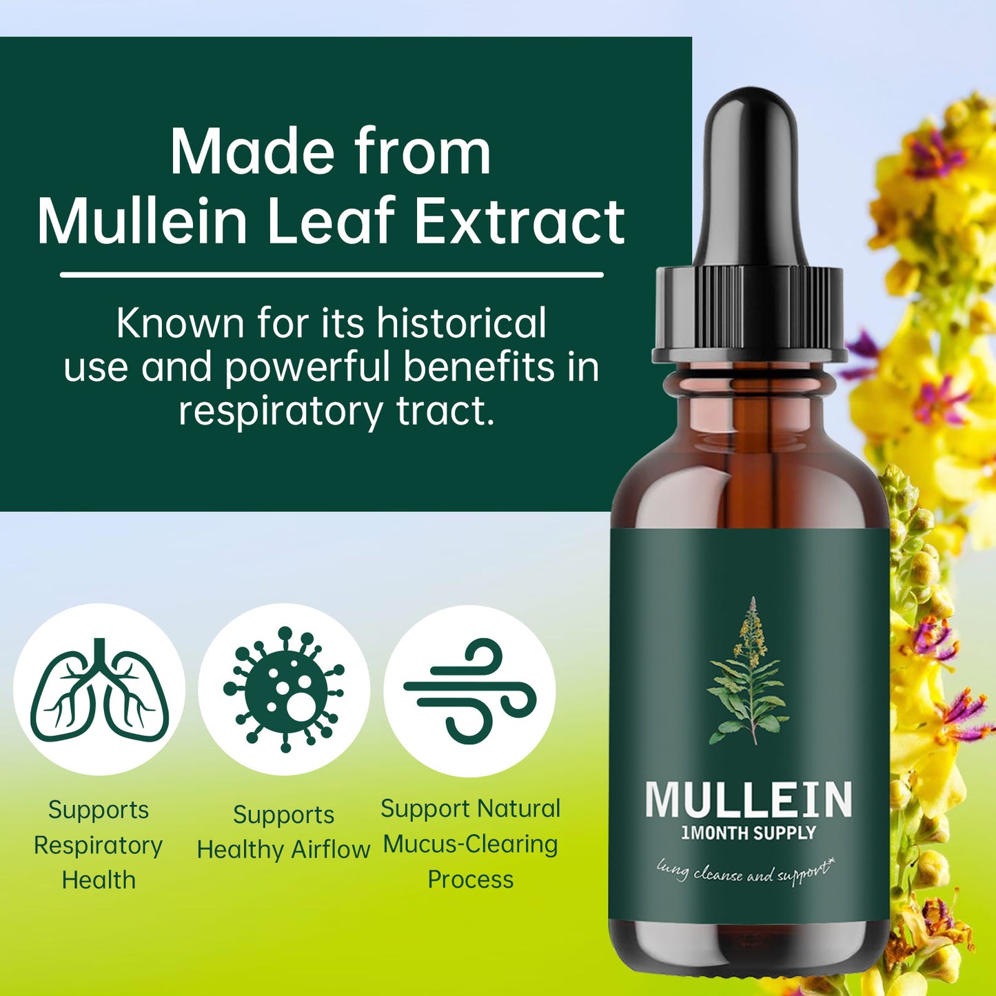 Zeytova Mullein Leaf Extract Drops